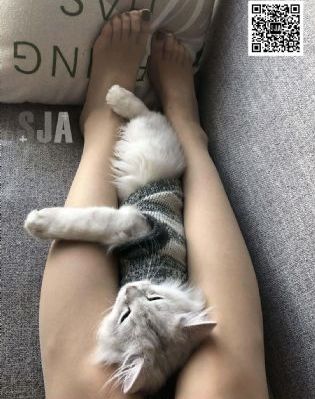 回复术士的重来人生动漫免费_720手机免费观看完整