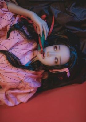 菜鸟总动员_高清免费在线播放